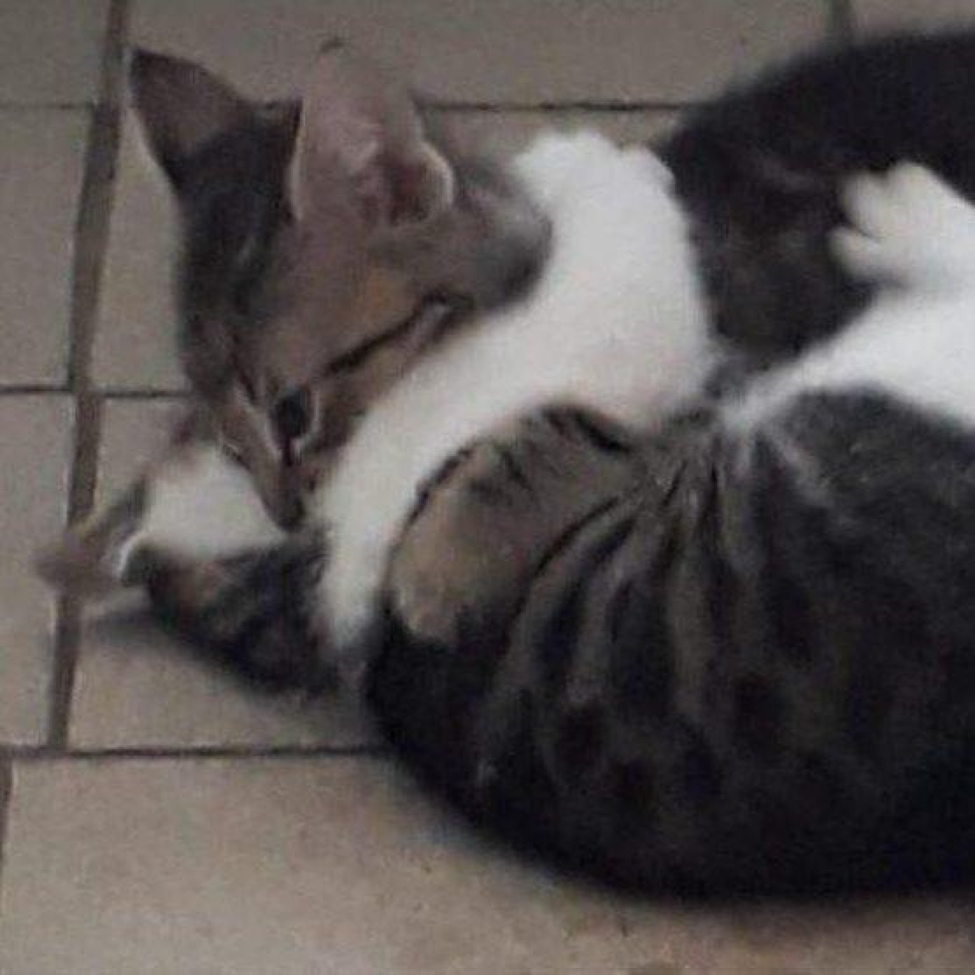 Kundenmeinung viktoria w