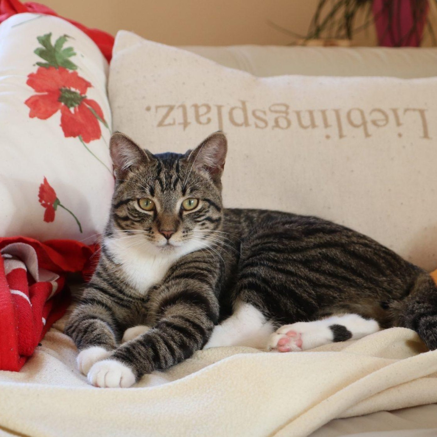 Kundenmeinung susanne z 202009