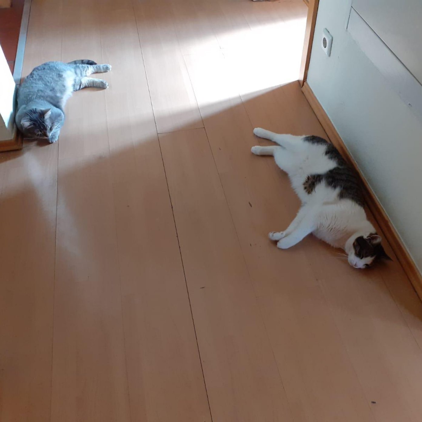 Kundenmeinung susan h