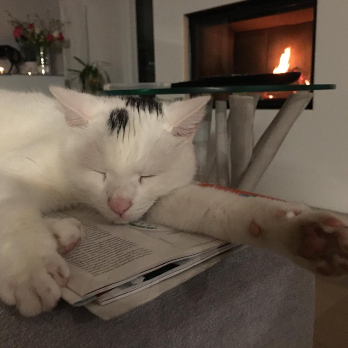 Kundenmeinung silvia e