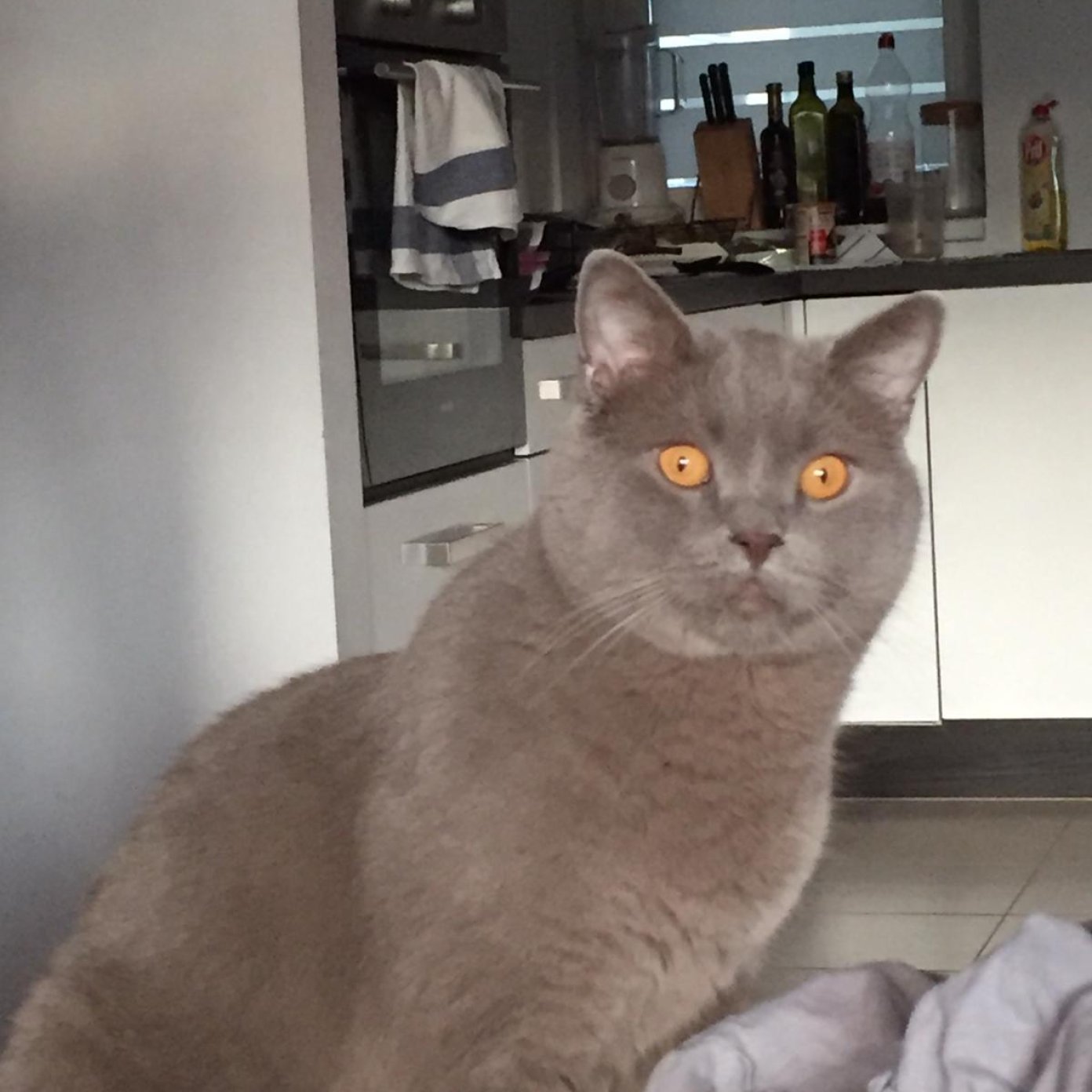 Kundenmeinung sandra s noe