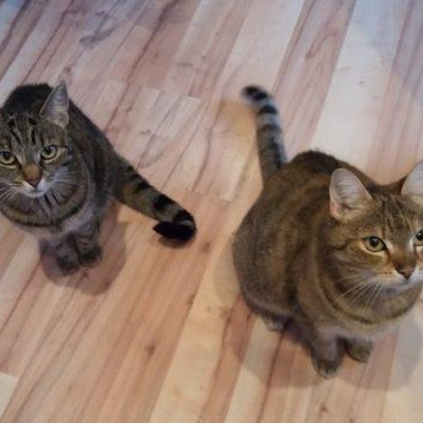 Kundenmeinung michaela g