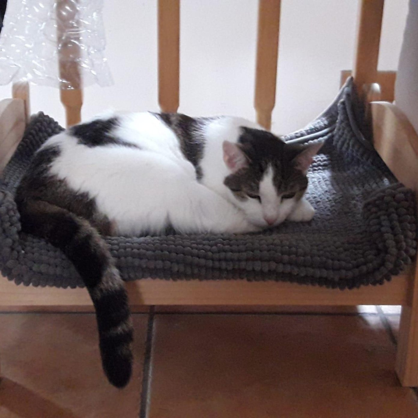 Kundenmeinung martina i