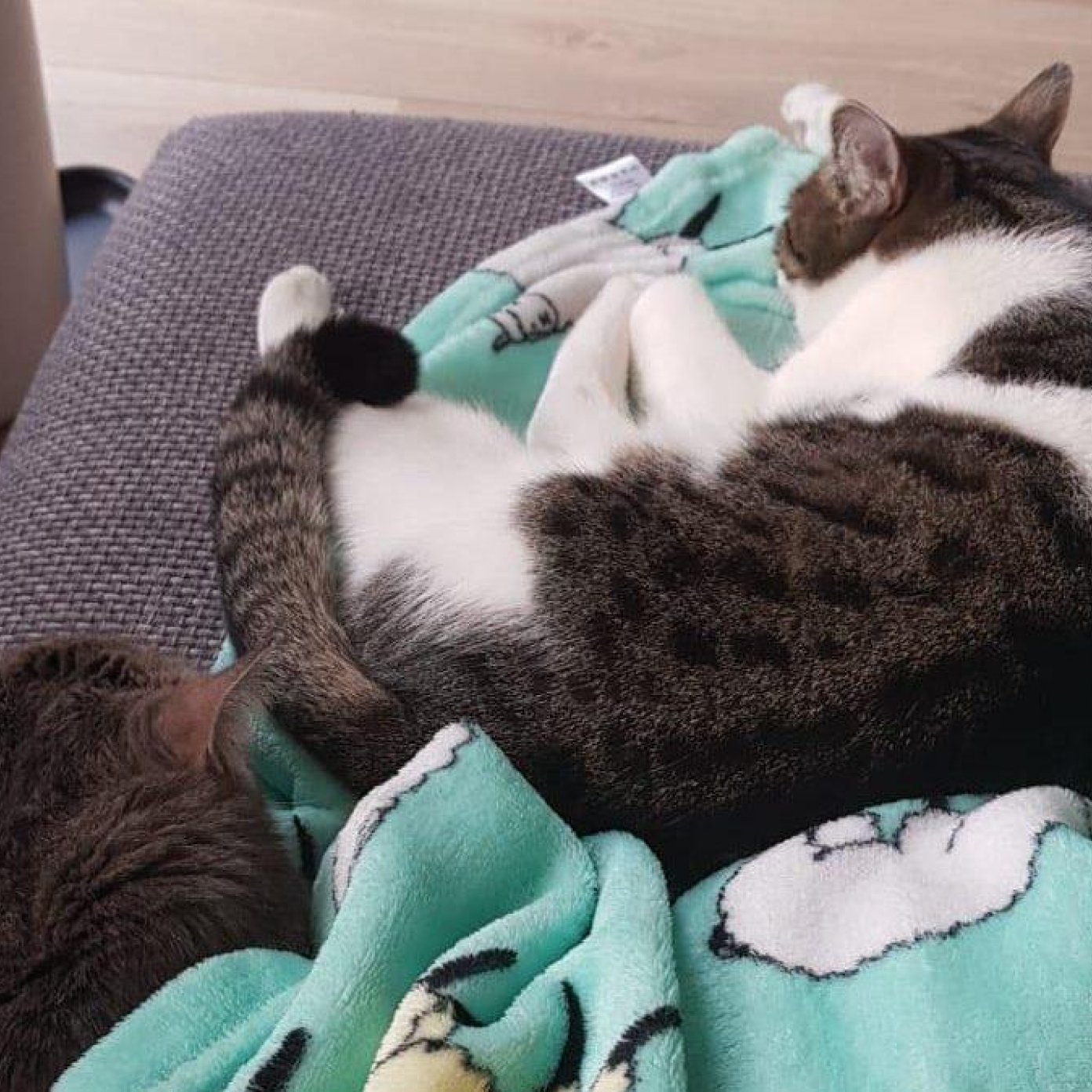 Kundenmeinung maire christin b noe facebook