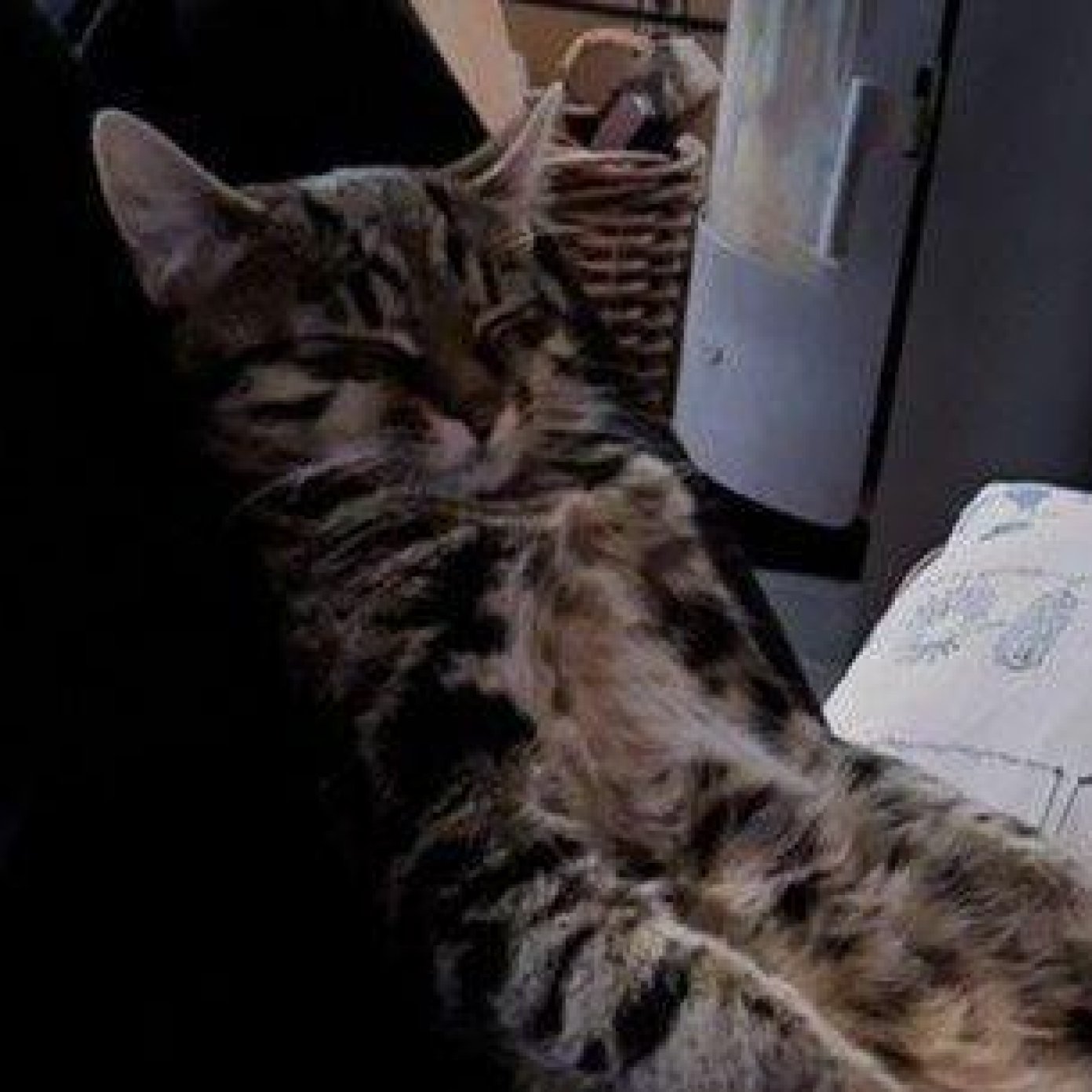 Kundenmeinung Karin B.