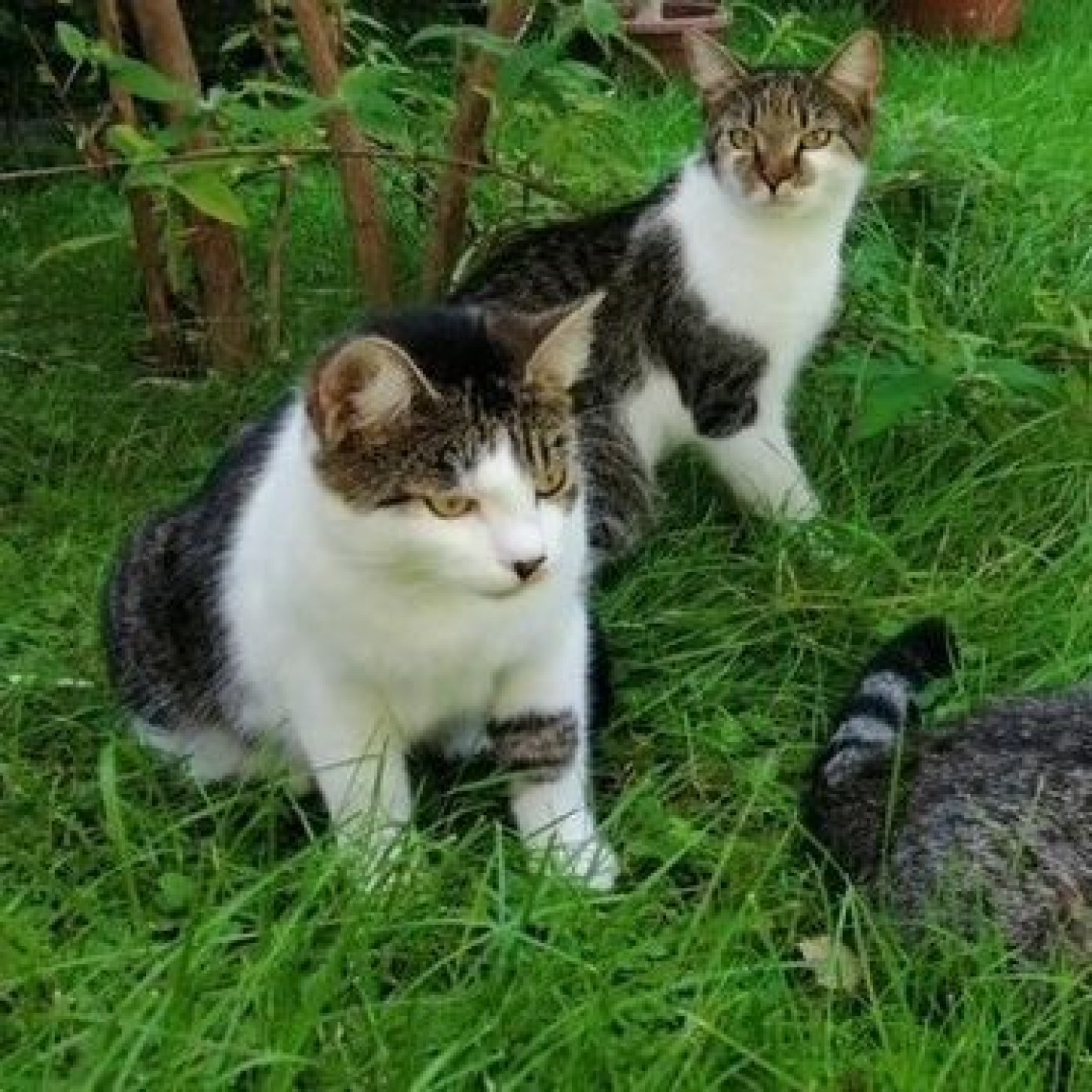 20200311 kundenmeinung damgmar l mail noe