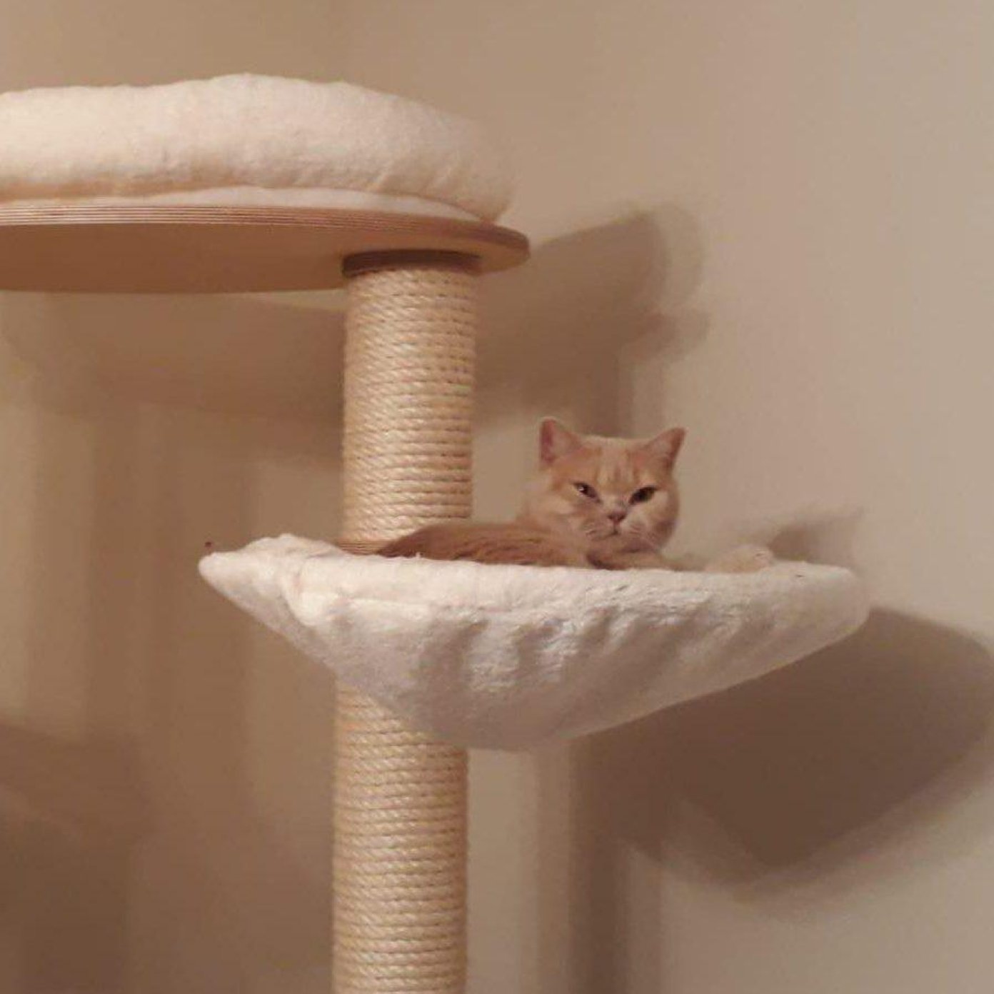 20211116 kundenmeinung ursula h wien mail