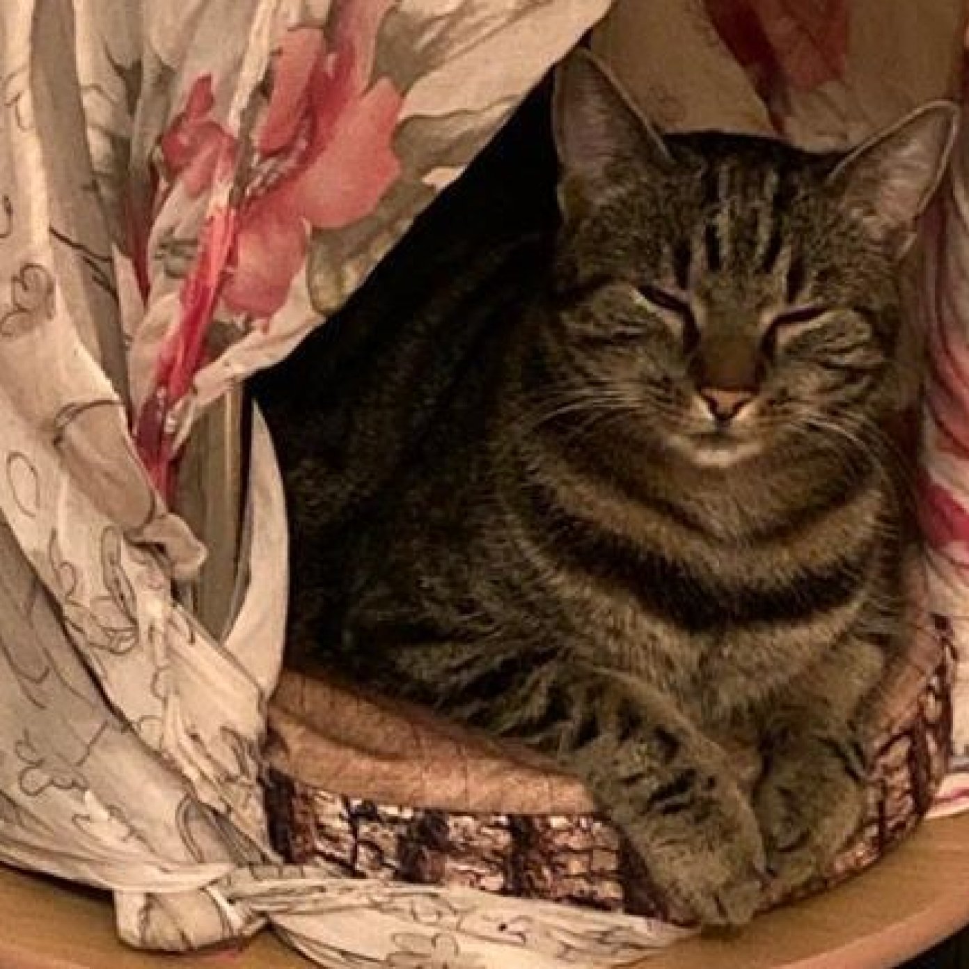 20211130 kundenmeinung karin s noe facebook