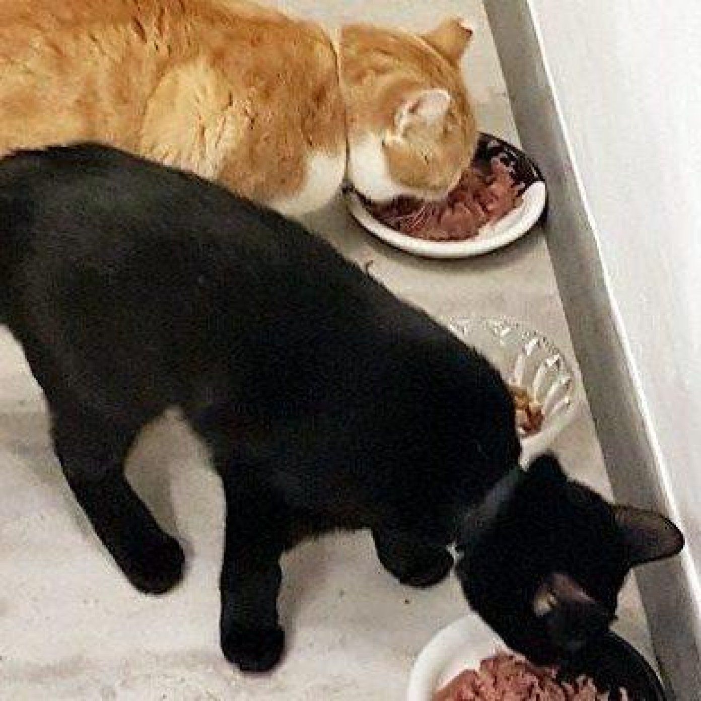 202201 kundenmeinung andrea s herold noe