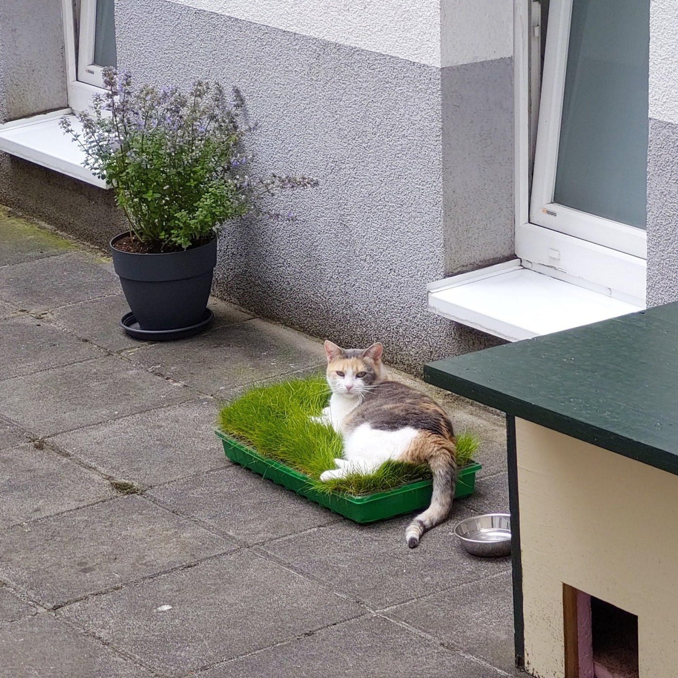 202207 kundenmeinung zsanett m mail wien