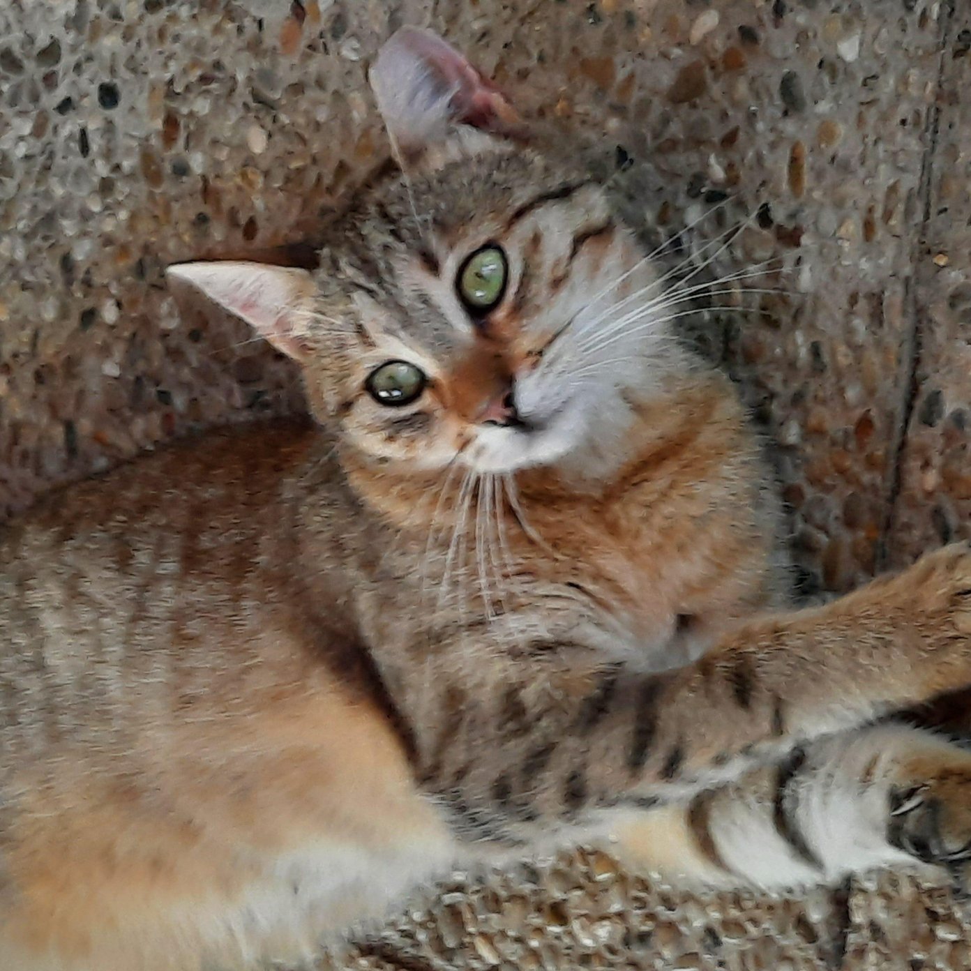 202209 kundenmeinung herold angelika w