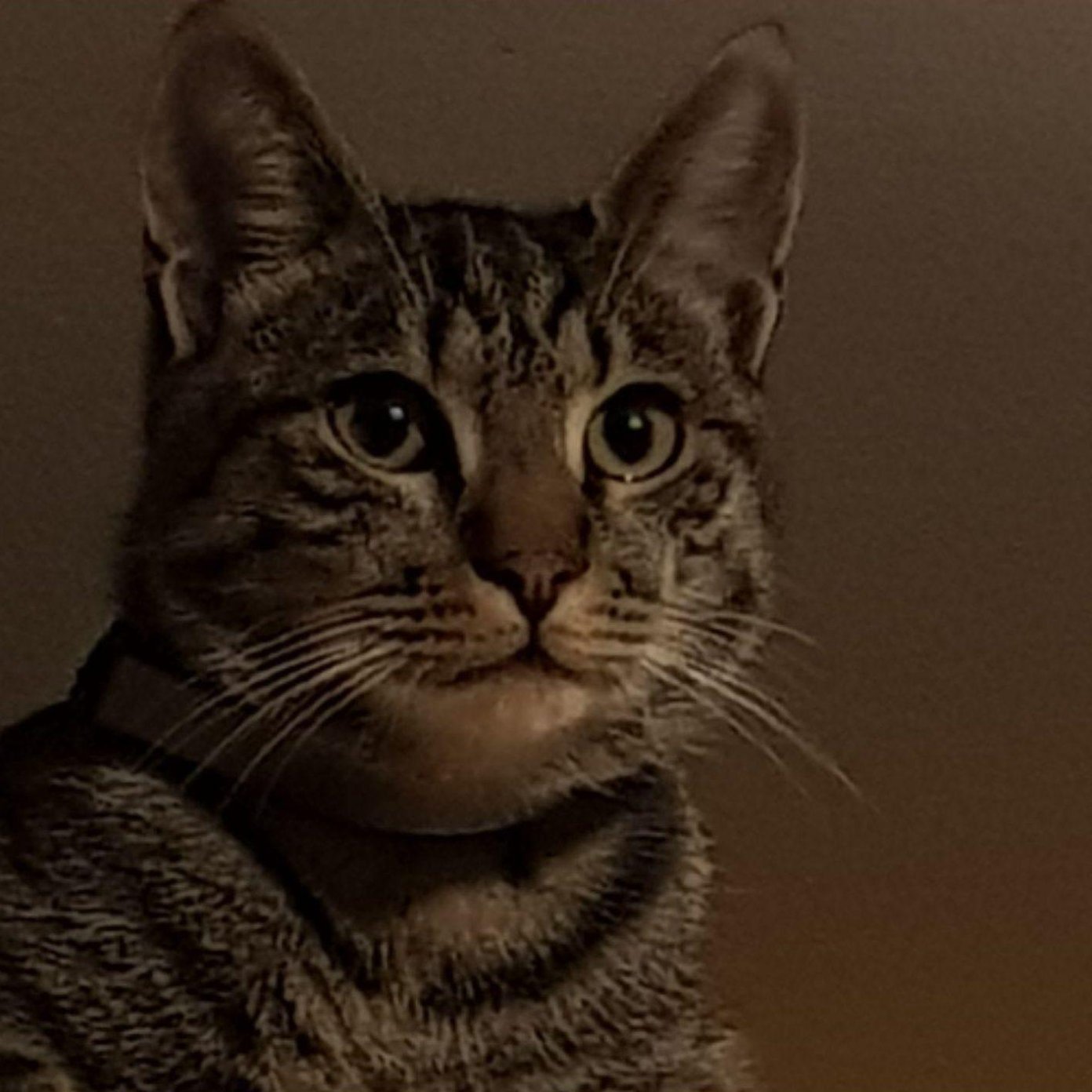 20221111 kundenmeinung claudia k mail noe