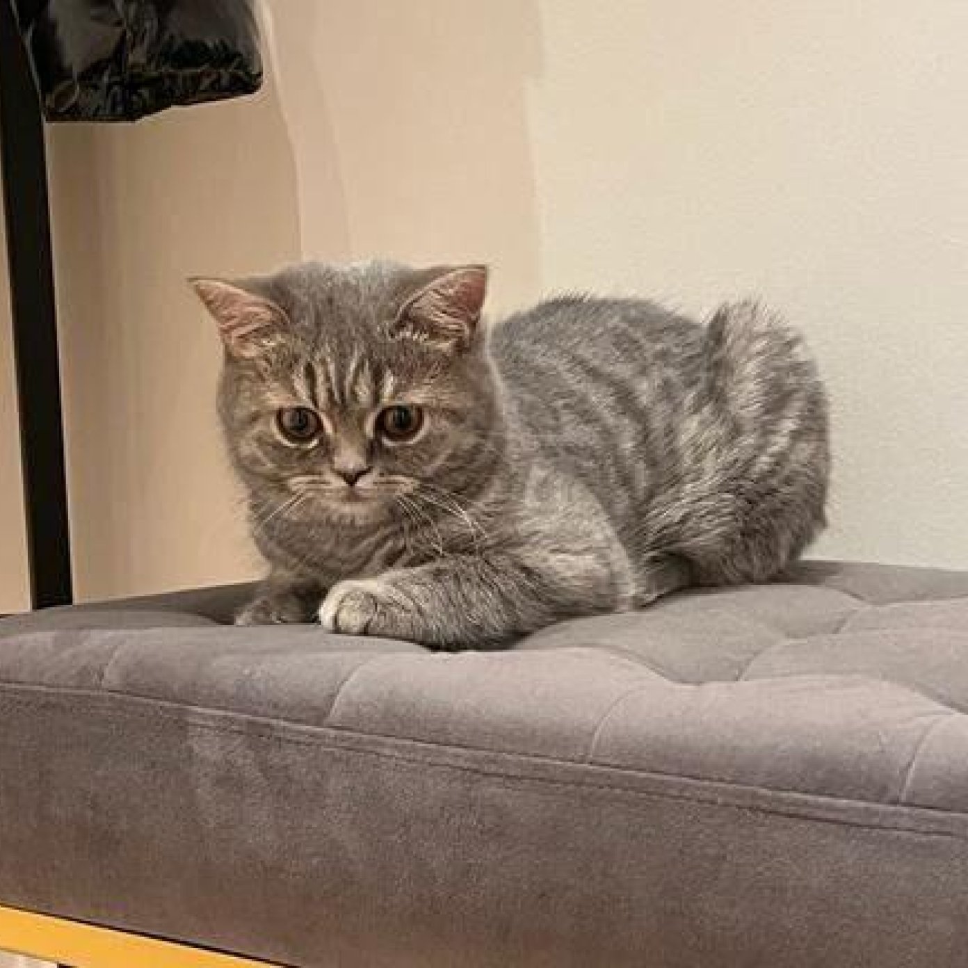 202304 kundenmeinung julia m herold noe