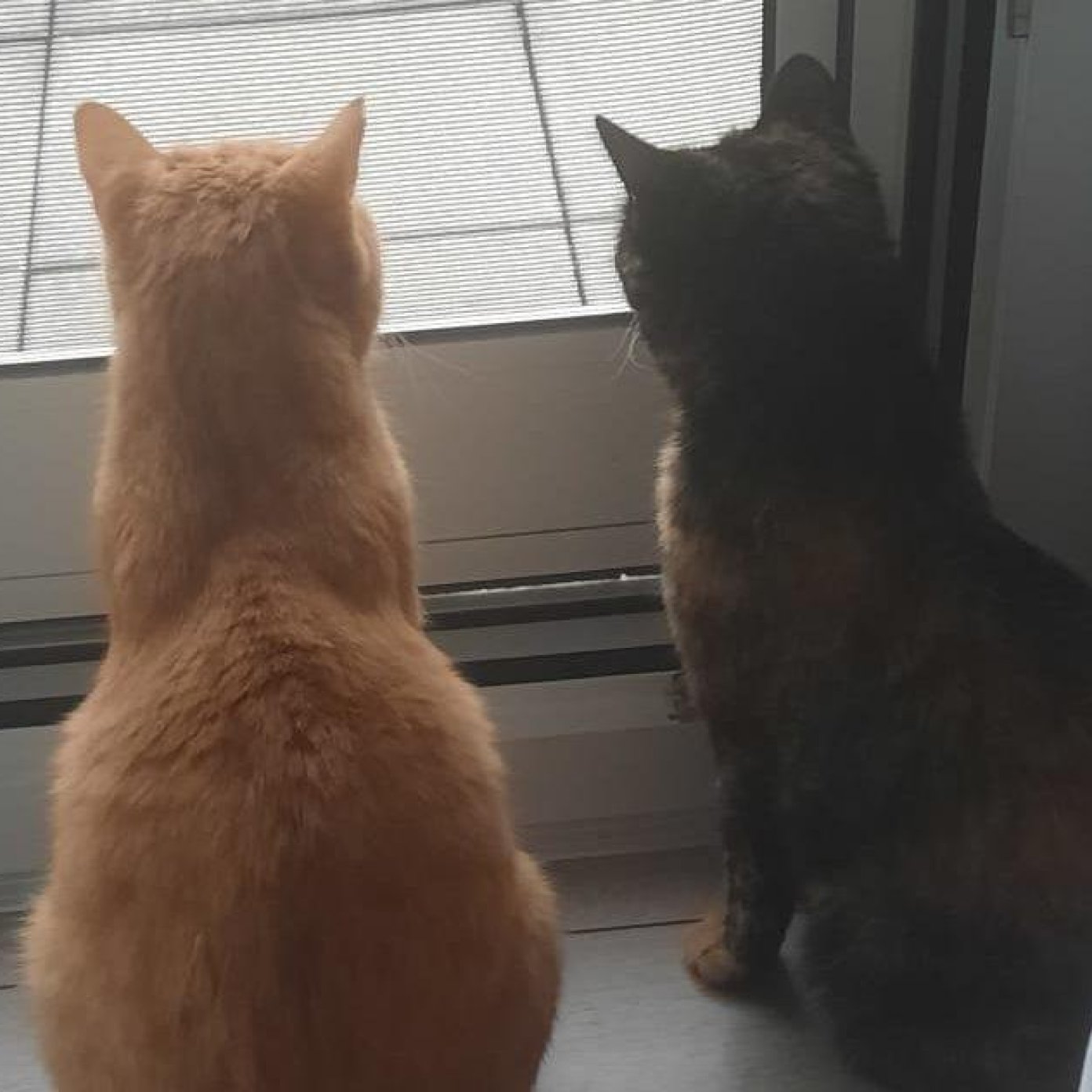 202311 kundenmeinung sabrina s noe google