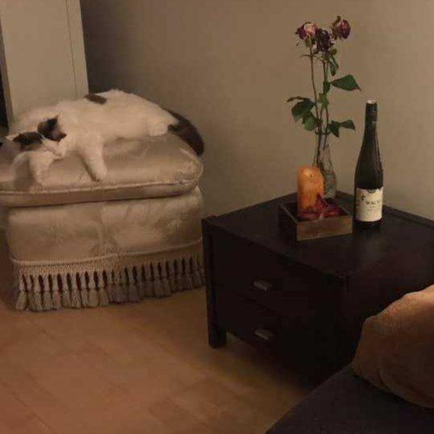 Kundenmeinung helena s fb wien