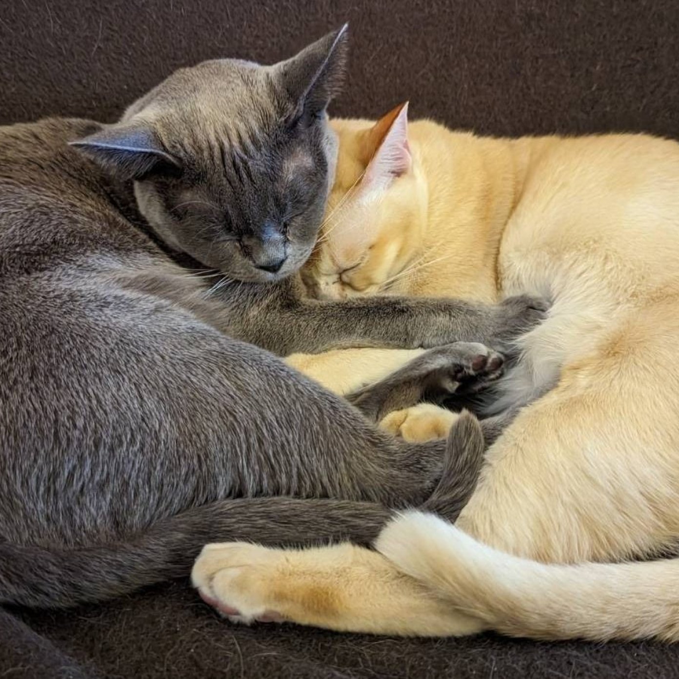 202401 kundenmeinung gerald whatsapp wien