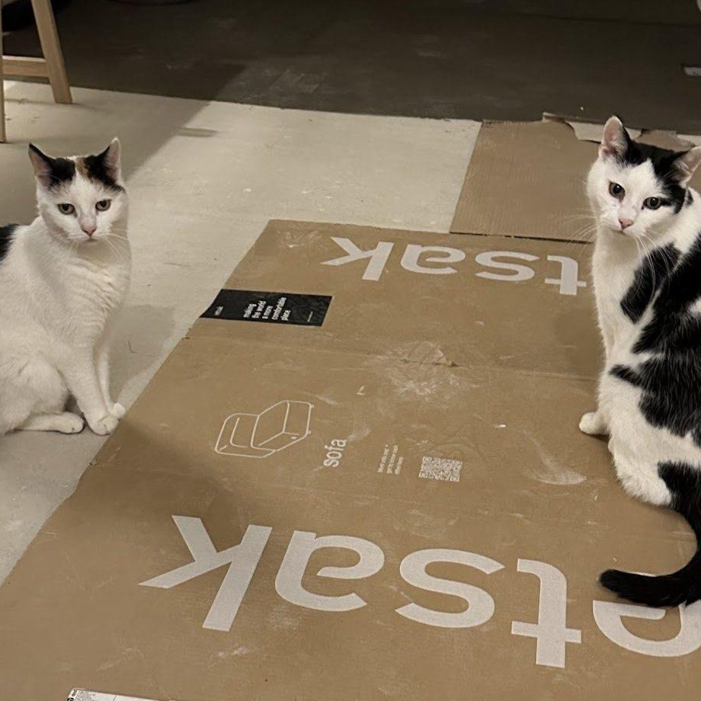 202402 kundenmeinung sophie p noe google