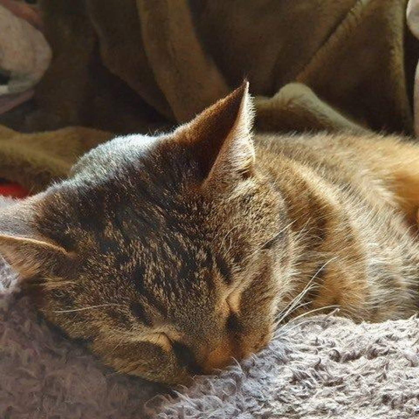 Kundenmeinung claudia k