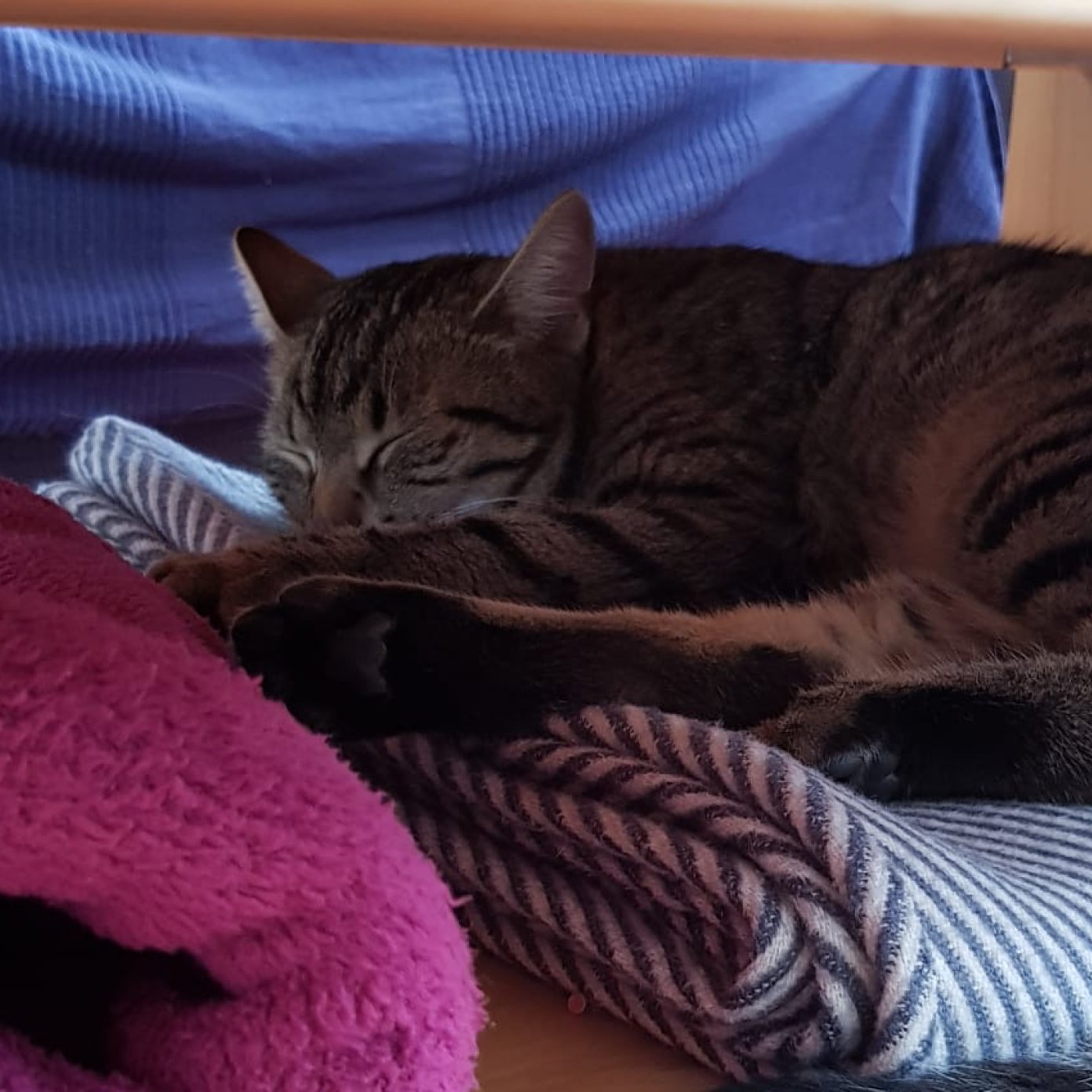 202310 kundenmeinung katharina r mail noe