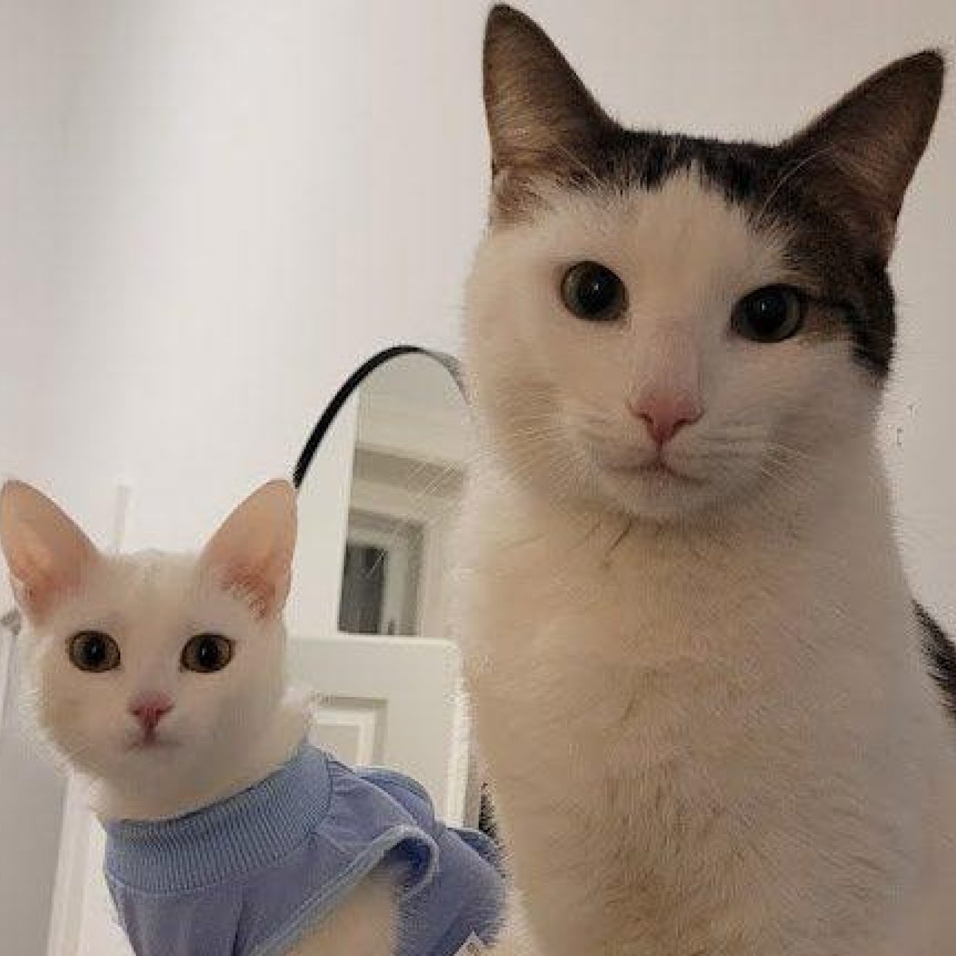 202306 kundenmeinung l google