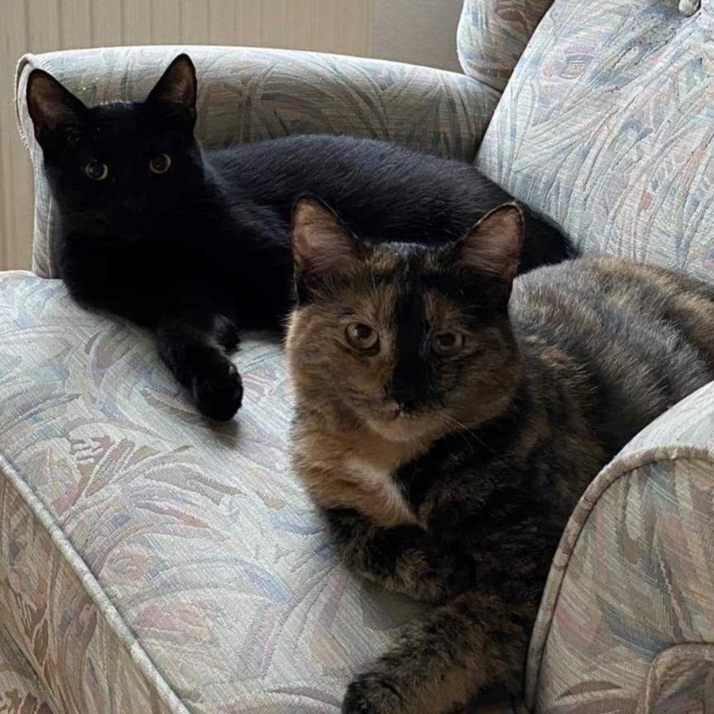 202305 kundenmeinung marita e herold salzburg