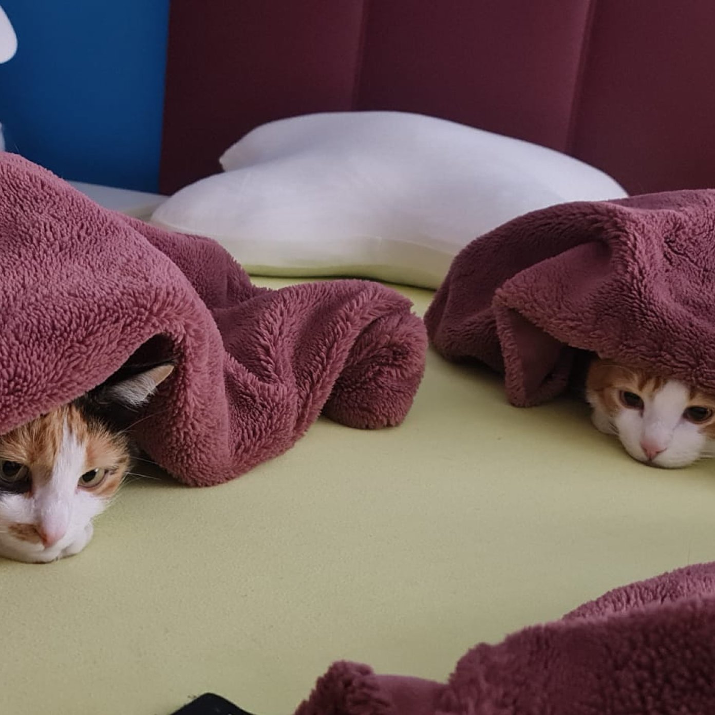 202303 kundenmeinung peter s mail noe