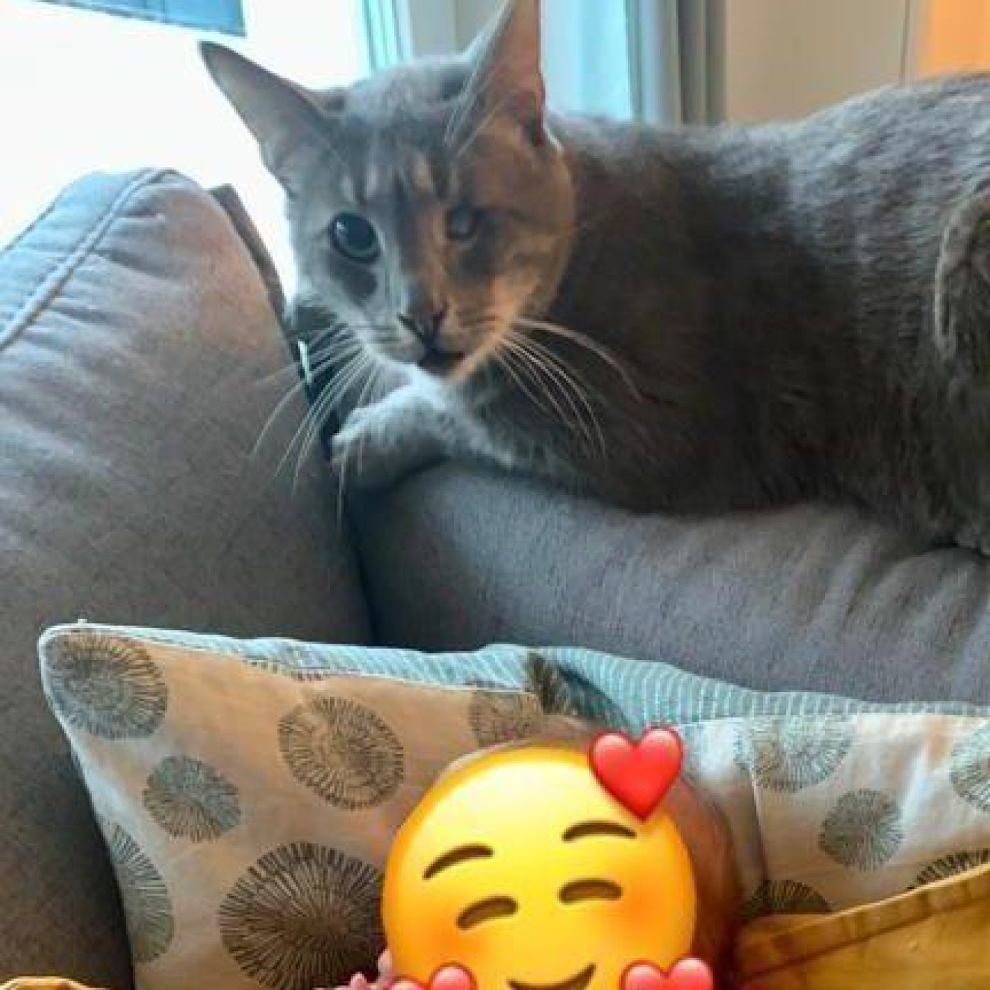 202301 kundenmeinung philipp h noe