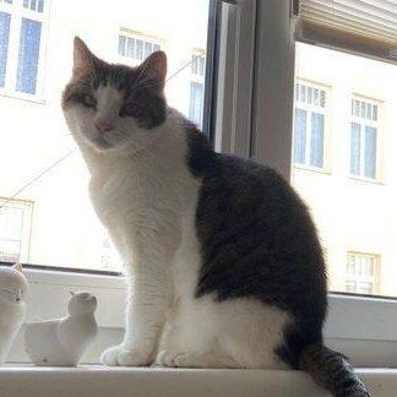 202211 kundenmeinung sabrina f google wien