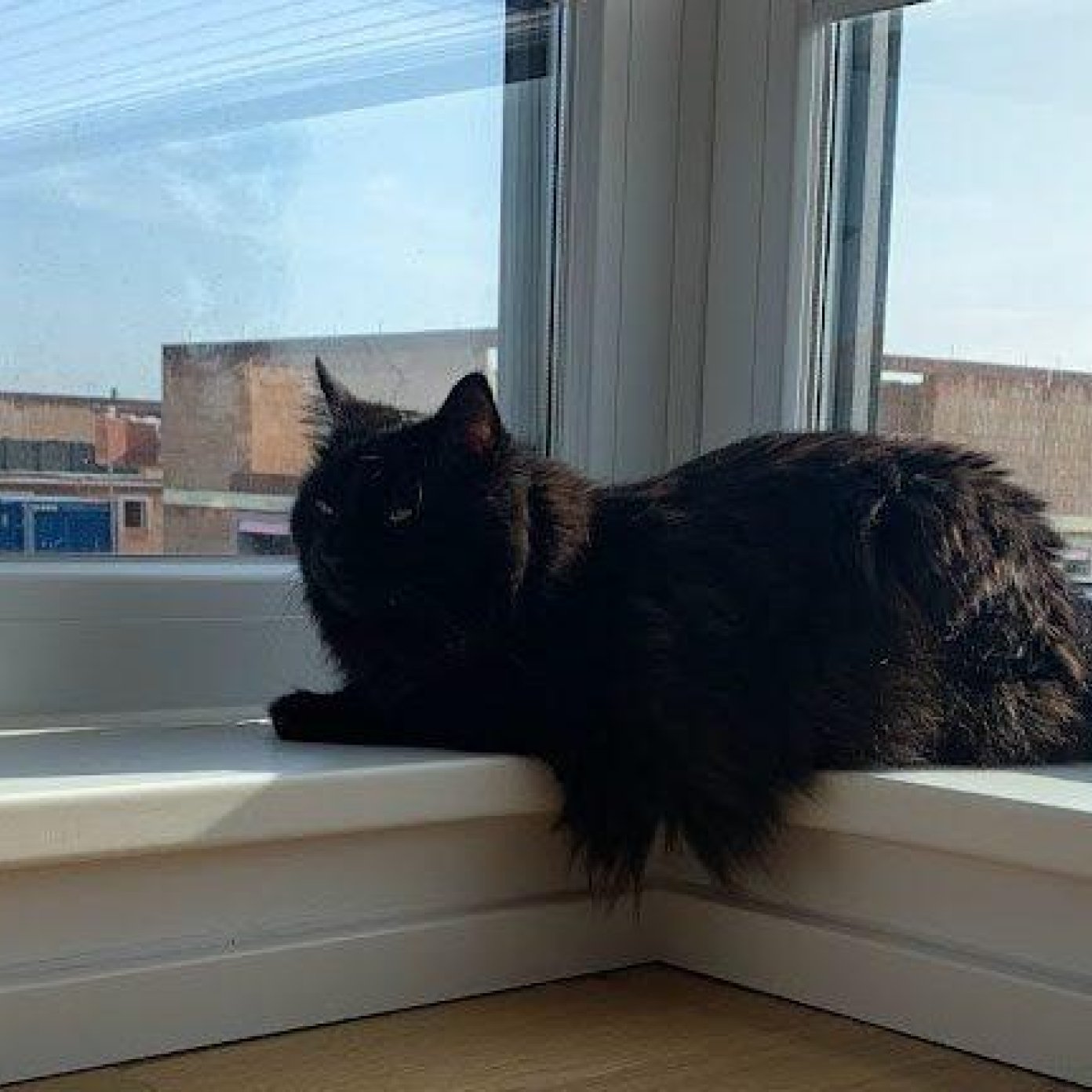 202211 kundenmeinung katring g google noe