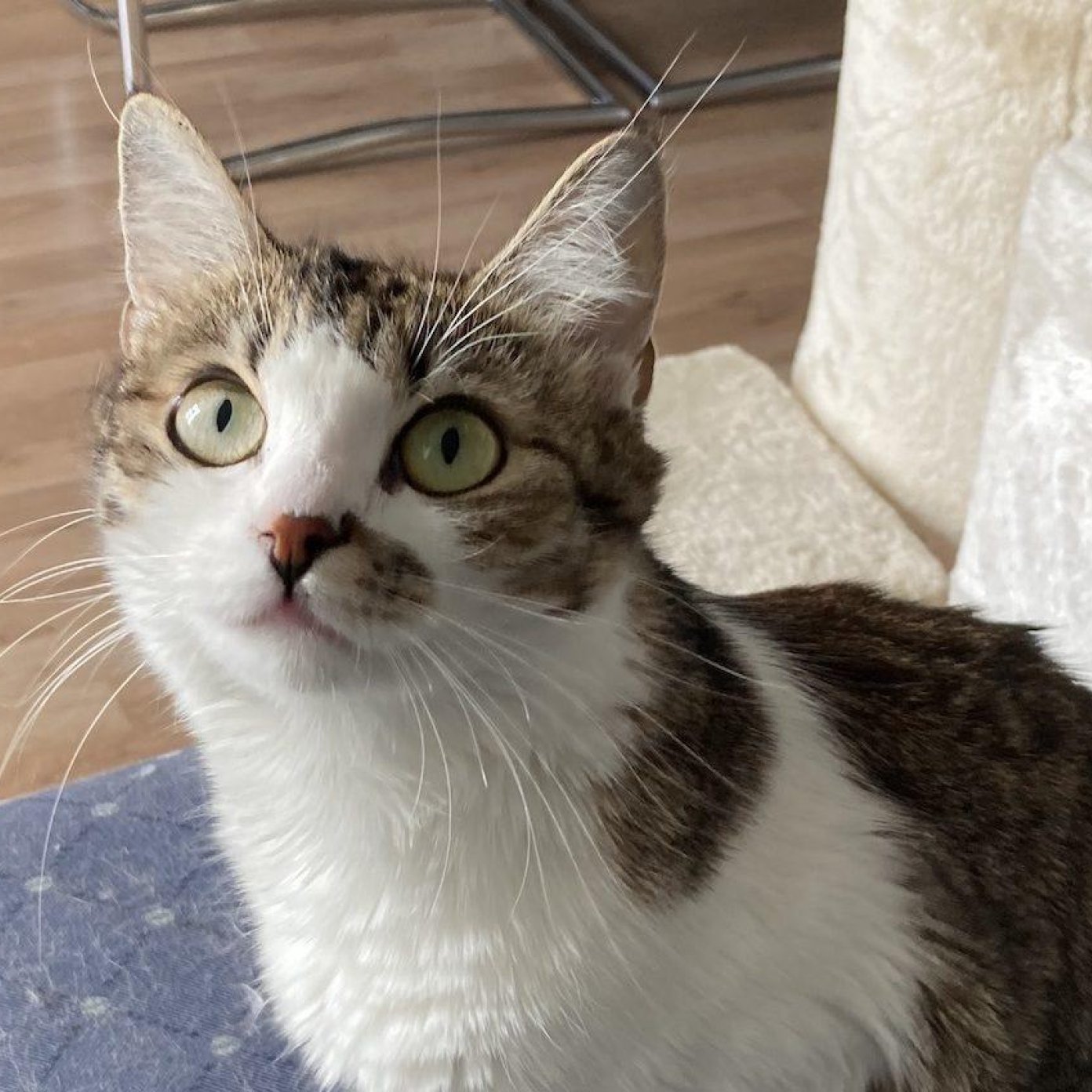 202205 kundenmeinung barbara k mail noe