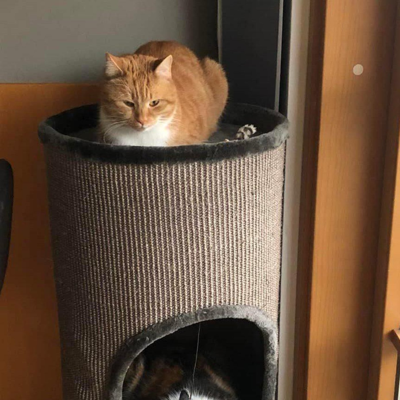 202204 kundenmeinung birgit p google noe