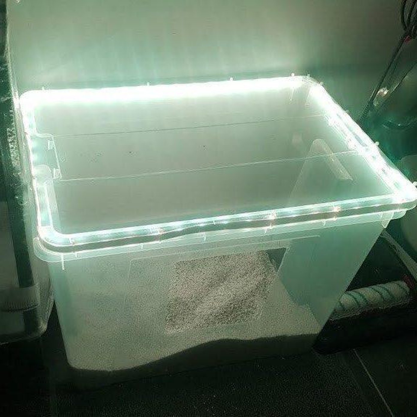 202203 kundenmeinung jennifer s google wien