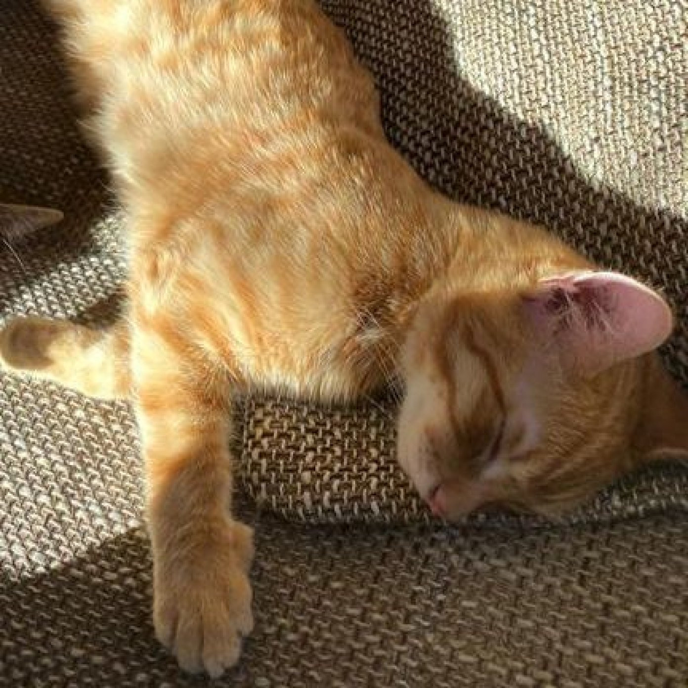 202201 kundenmeinung sophie m noe mail