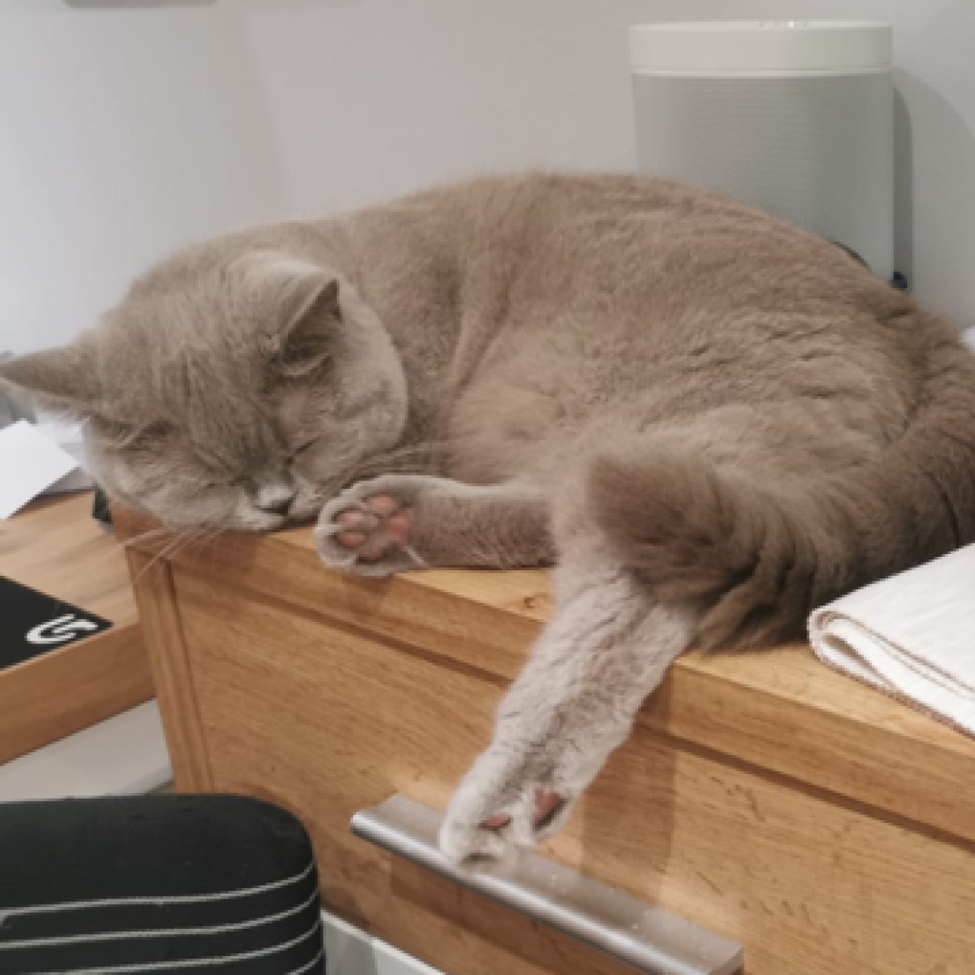 202201 kundenmeinung daniela h herold noe