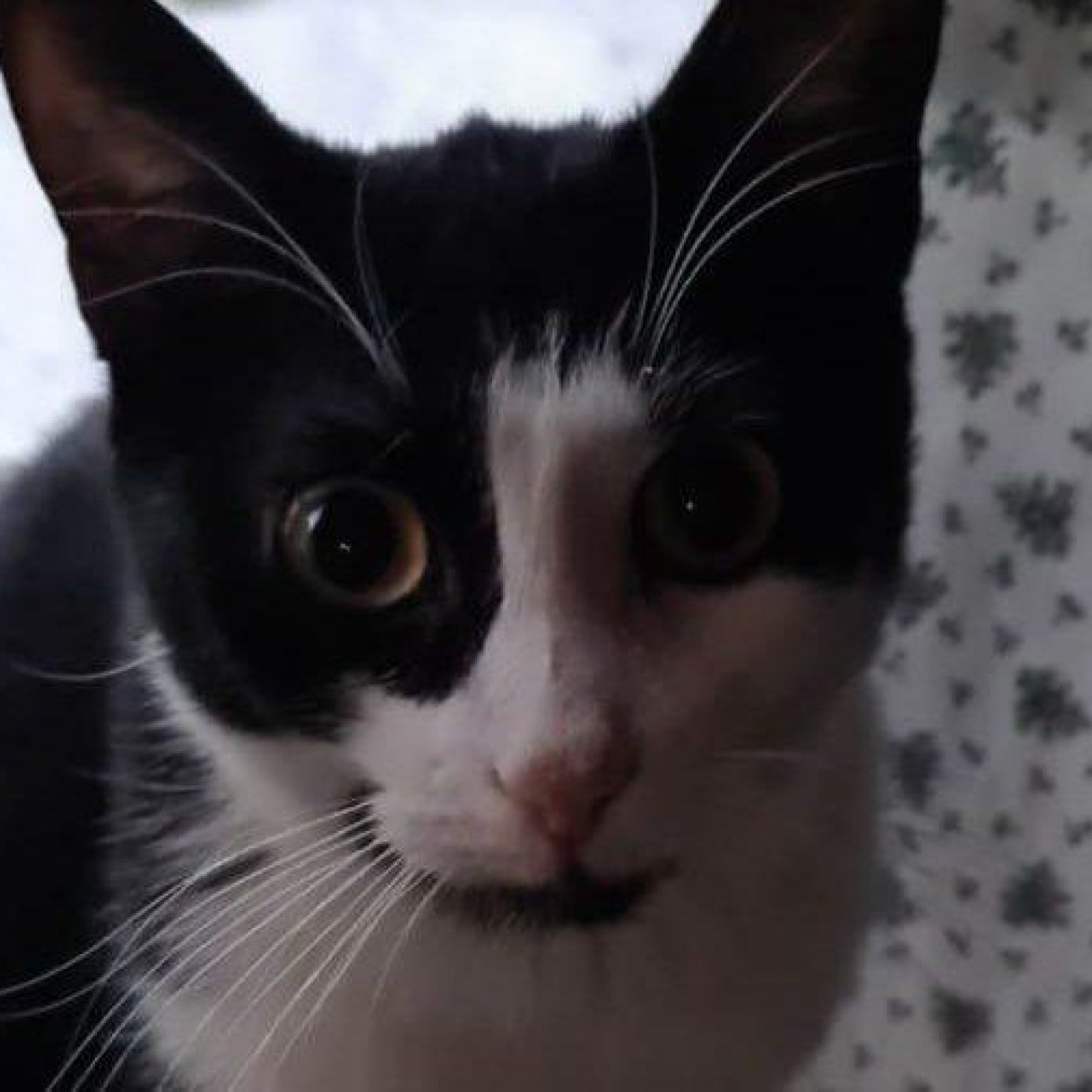 202201 kundenmeinung bernadette s facebook wien