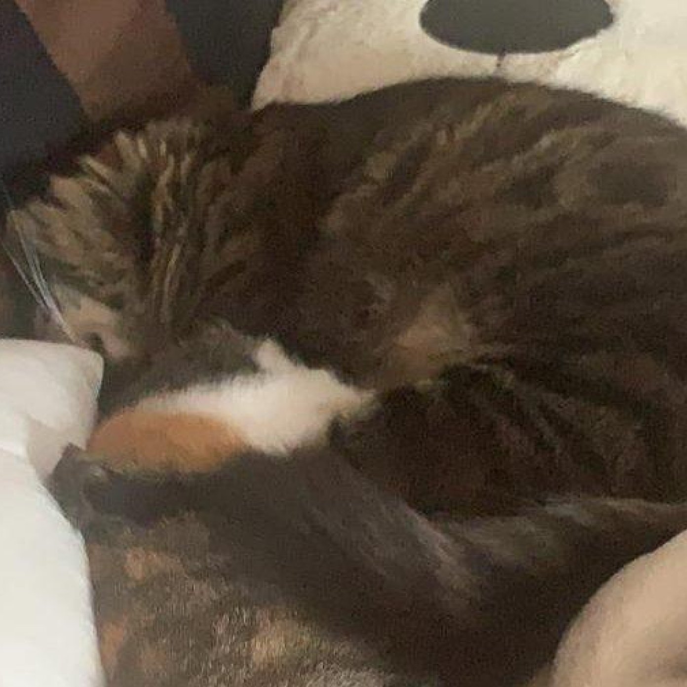 202108 kundenmeinung michaela p wien herold