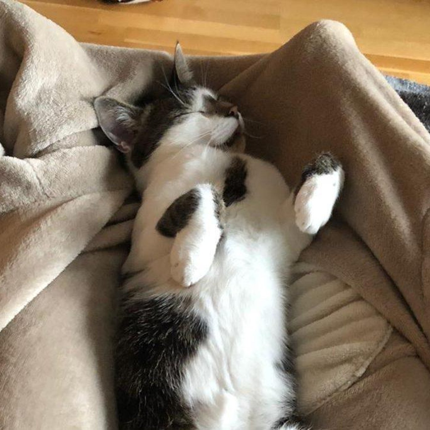 202106 kundenmeinung christiba p mail noe