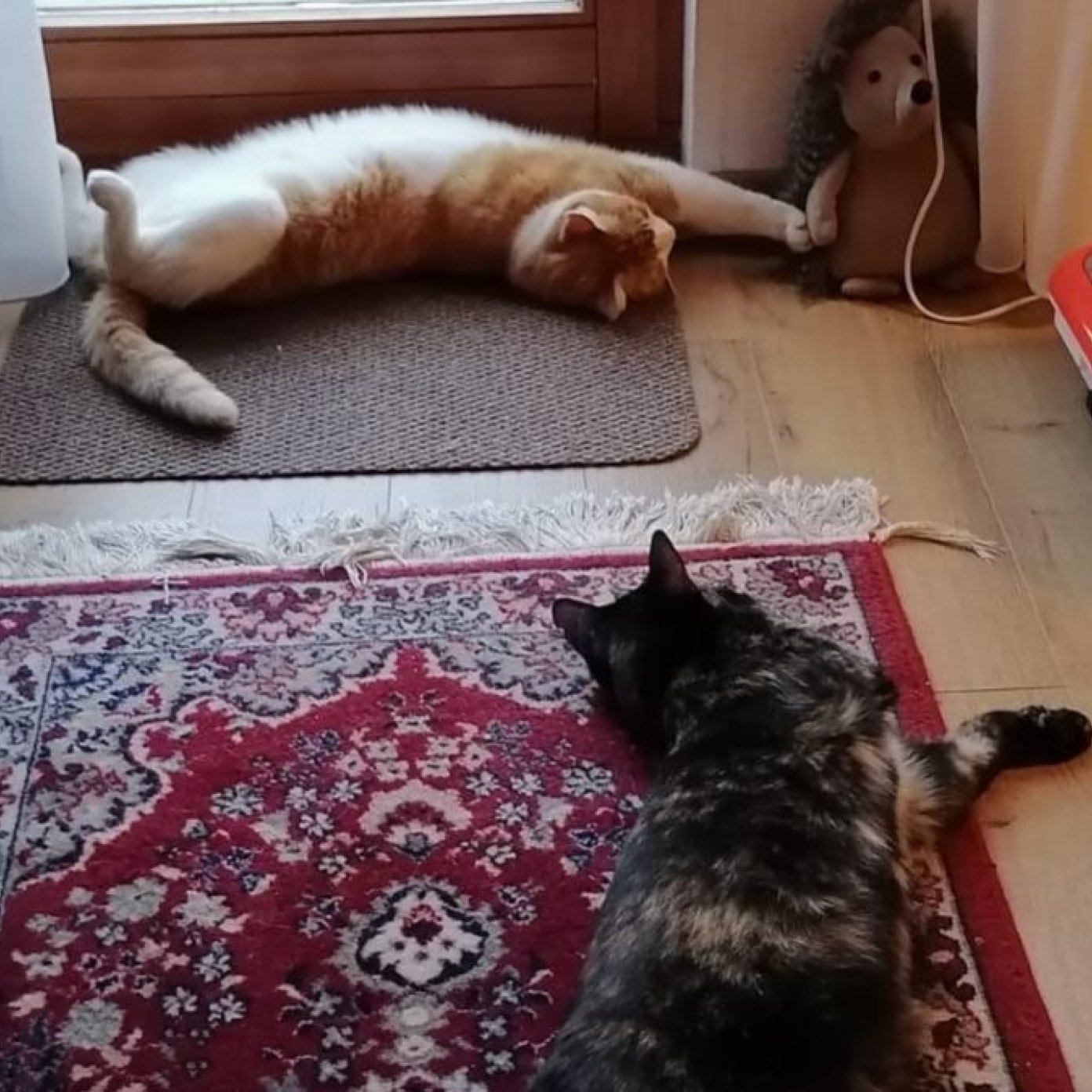 202106 franziska f mail wien