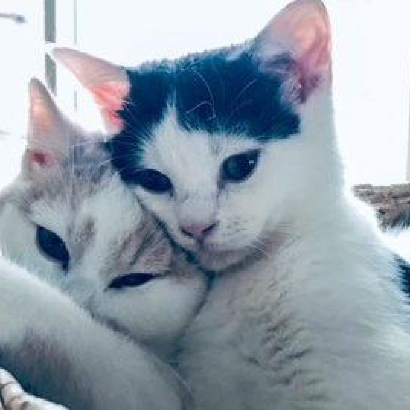 202102 kundenmeinung sophie m mai