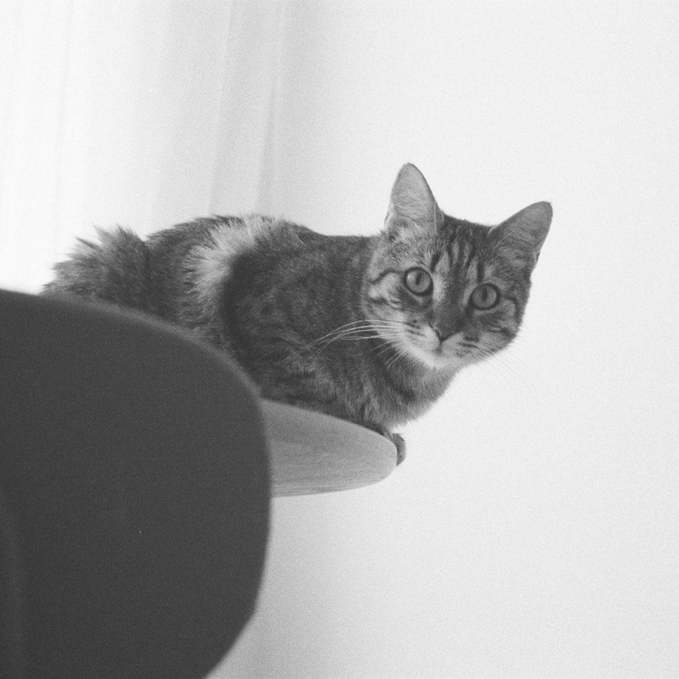 Kundenmeinung Julia H., Wien