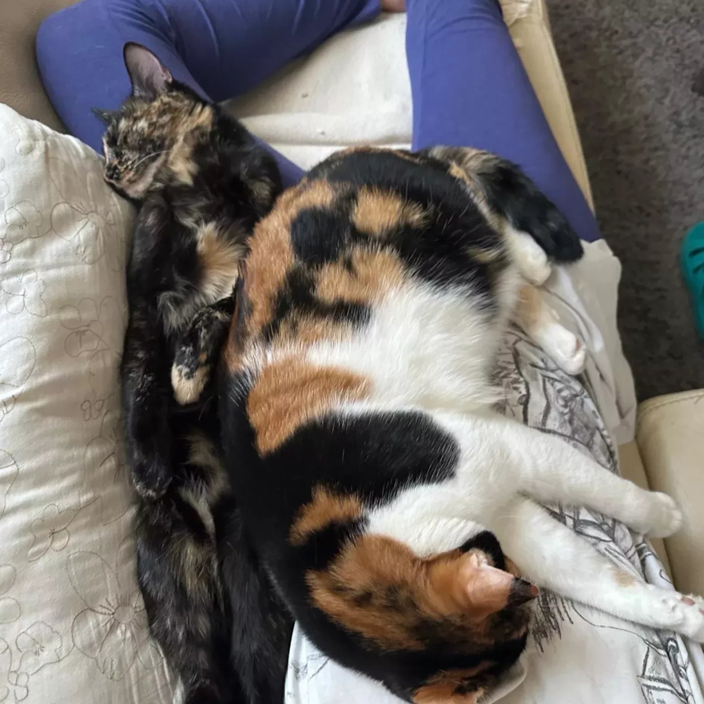 Kundenmeinung reew rweqwre