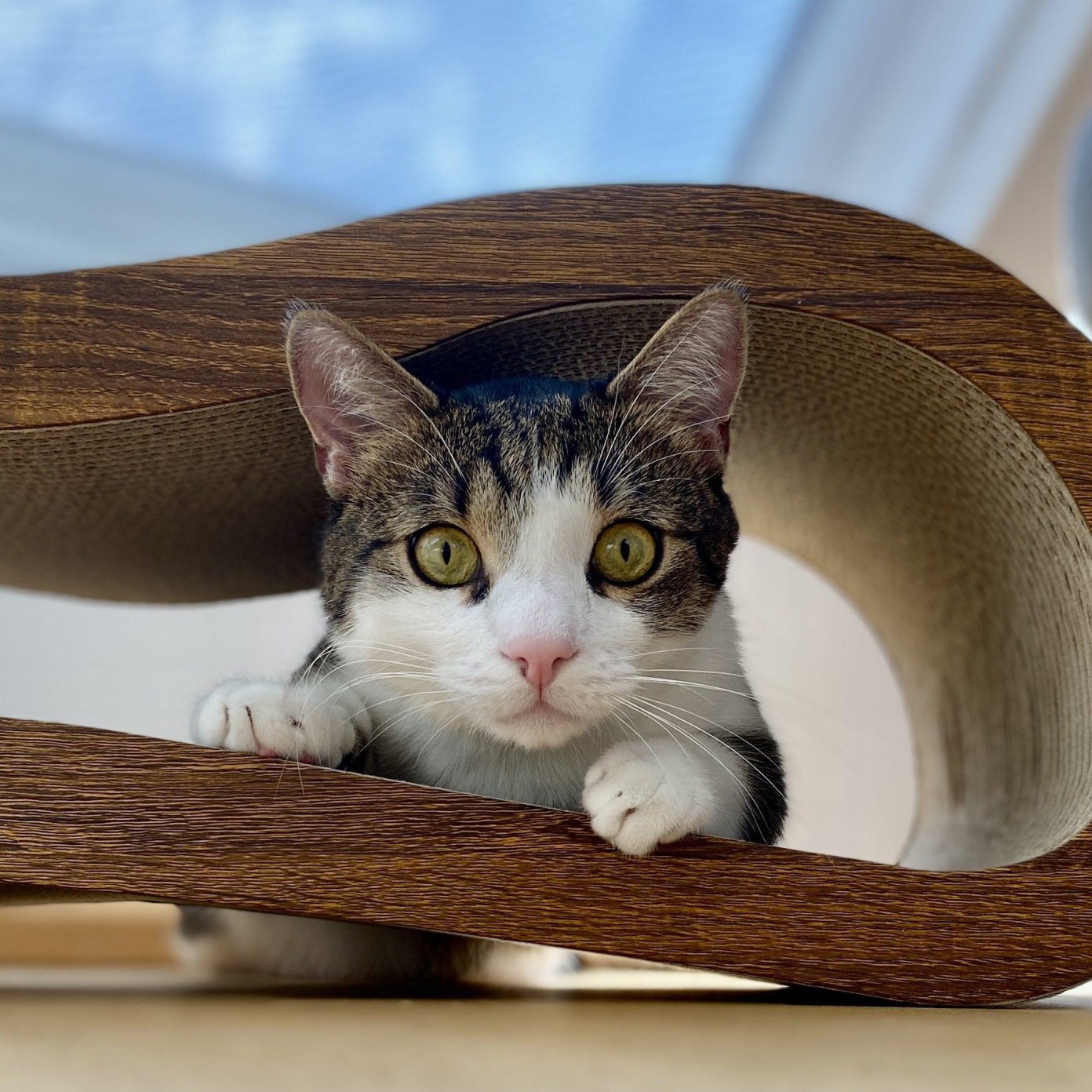 Kundenmeinung Eszter T.