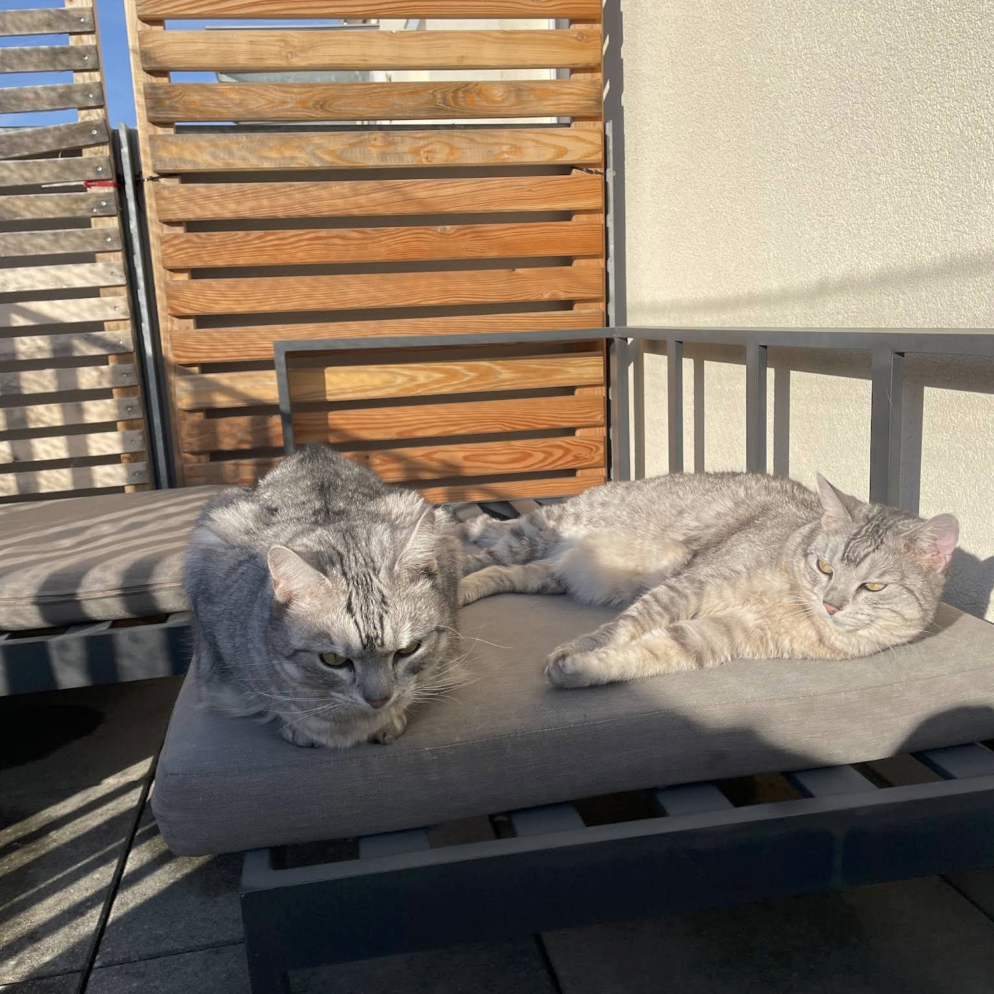 202510 kundenmeinung leonie mentl google