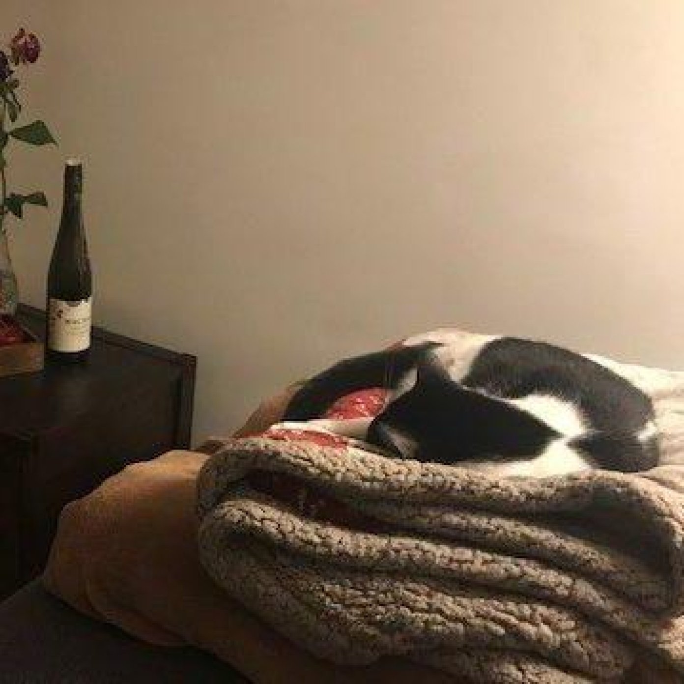 Kundenmeinung helena e wien mail