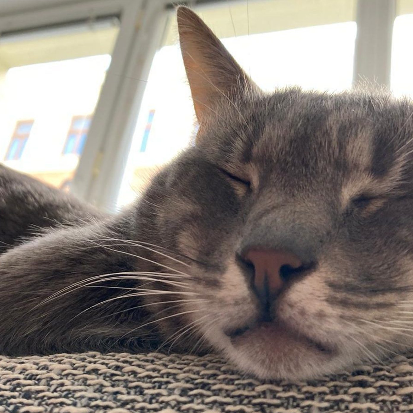 Kundenmeinung kathi h facebook wien