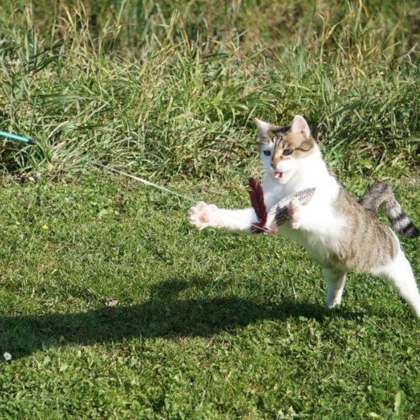Kundenmeinung martha b