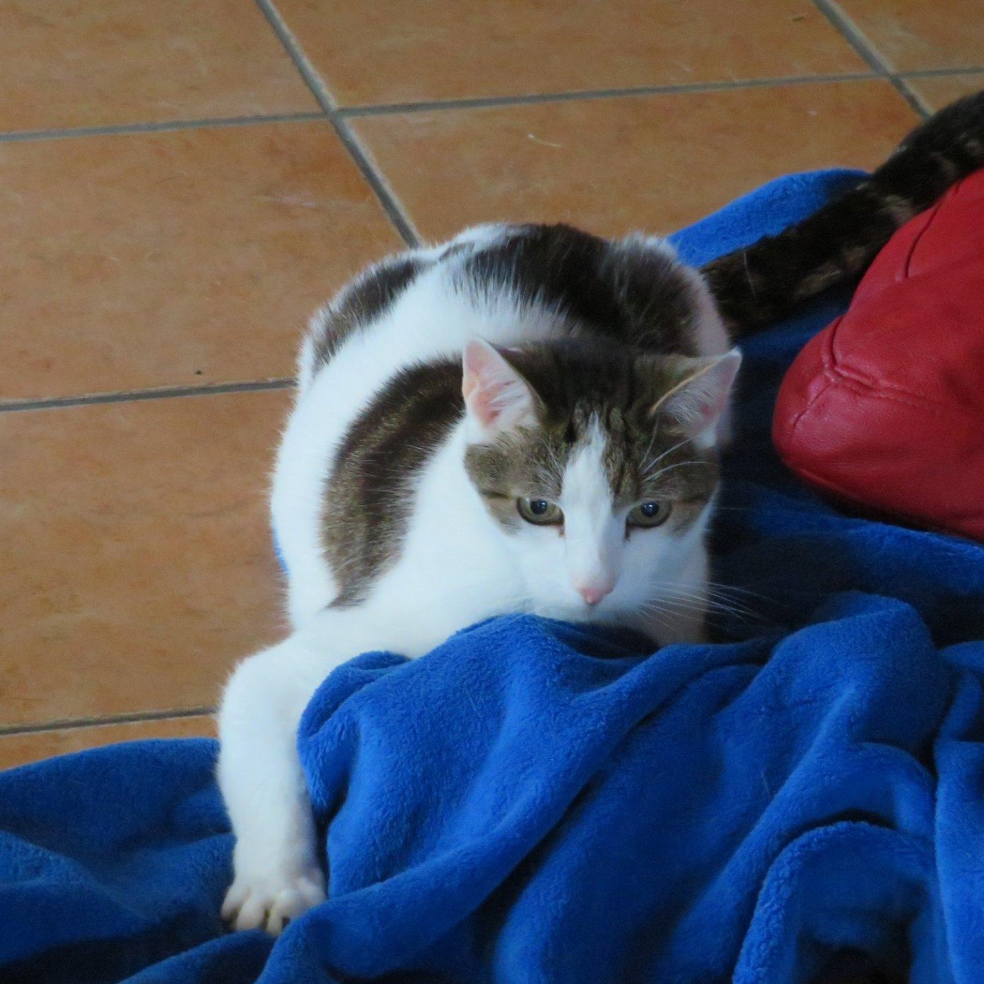 Kundenmeinung martina i