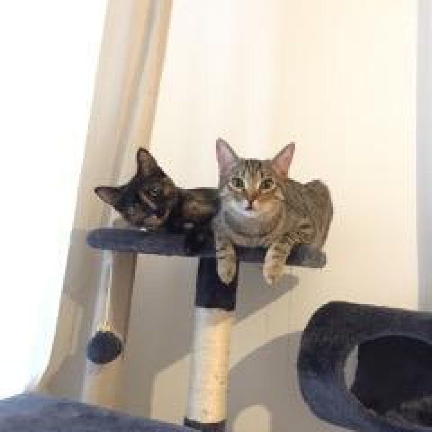 Kundenmeinung melanie g