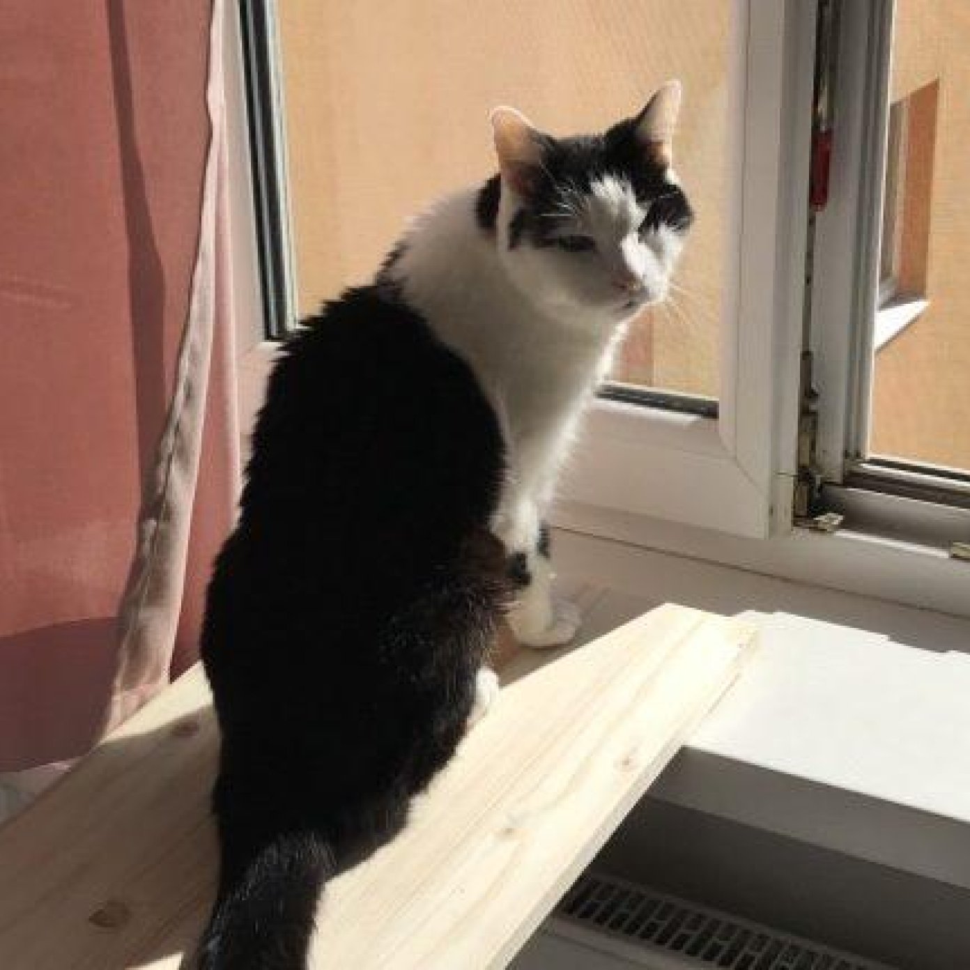 Kundenmeinung sandra s