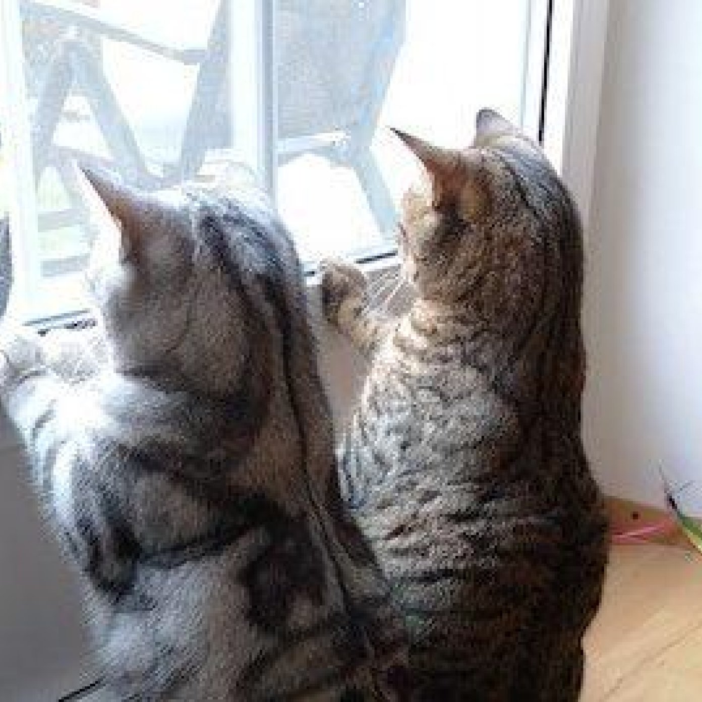 Kundenmeinung silvia christian g